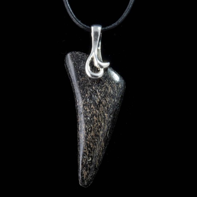 Dinosaur Bone Fossil Pendant